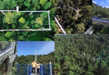 Ketinggian 18 Hingga 25 Meter, “Forest Skywalk” FRIM Di Taman Botani Kepong Dibuka Bermula 31 Ogos Ini