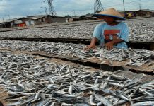 Bekalan ikan dalam negara semakin merosot: CAP