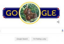 Google papar logo khas Orang Utan sempena Hari Kebangsaan 2020