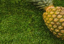 Keluasan tanaman nanas MD2 cecah 404 hektar