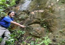 Penyelidik UMK temui fosil tapak kaki dinosaur di Bukit Panau