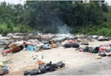 MPK wujud skuad khas tangani isu pembuangan sampah haram