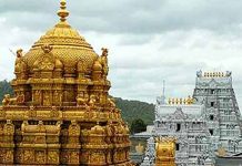 திருப்பதியில் இலவச தரிசனத்திற்கு அனுமதி