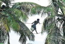 Lebih 80 korban arak todi di India