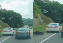 Polis tahan pemandu dalam video tular insiden langgar lari