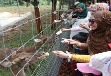 Selangor Fruit Valley destinasi riadah keluarga