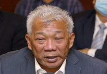 Tidak wajar heret istana negeri dalam perebutan kuasa?