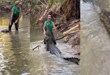 Gaya Lelaki Ini ‘Memarahi’ Buaya Cuba Dekatinya Di Sungai Ditonton Lebih 2 Juta Kali
