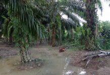 பாதுகாக்கப்பட்ட வனப்பகுதியில் அத்து மீறலை தடுக்கவும்
