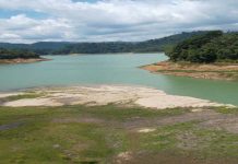 நில வளம் காக்கும் நீர்க்காவிரி