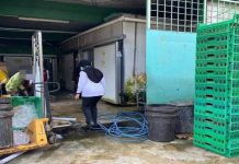 DBKL tutup premis pemprosesan ayam kotor
