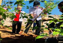 1,638 kes denggi direkodkan di Kuantan sejak Januari