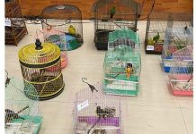 அரிய வகை பறவைகள் பறிமுதல்