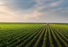 பஞ்சாபில் 15.99 லட்சம் டன் நெல் கொள்முதல்