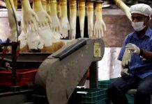 நாட்டின் புறப்பகுதிகளில் வேலை வாய்ப்புகள்