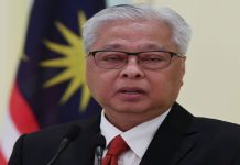 நாட்டை விட்டு வெளியேற முயன்ற சட்டவிரோத குடியேறிகள் கைது