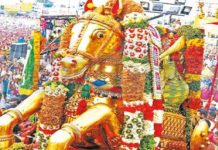 குதிரை வழிபாடு