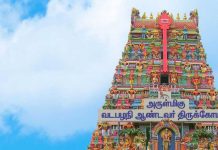 வடபழநி ஆண்டவர் கோவிலில் அலைமோதிய பக்தர்கள் கூட்டம்