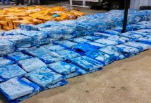 Gagal seludup 3.87 tan ayam sejuk beku