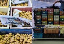 150kg buah dokong tanpa permit dirampas