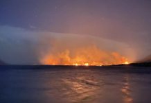 Bomba giat kawal kebakaran hutan di New Zealand