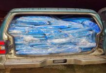 1,890kg ayam seludup dirampas