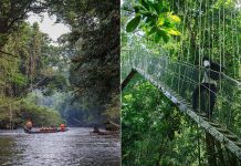 Taman Negara Pahang dibuka semula hari ini
