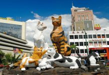 Kluster baharu Bah Arnab muncul di Kuching