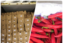 சீனாவிலிருந்து இறக்குமதிக்கு வந்த மிளகாய்: ஜோகூரில் தடுத்து வைப்பு