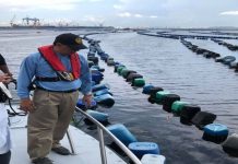 Johor rancang wujudkan Zon Industri Perikanan