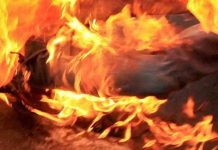 25 ஆடுகள் தீயில் கருகின