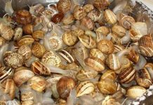 நத்தை வேட்டையில் களமிறங்கி கலக்கும் கூலி தொழிலாளர்கள்!