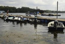 Sungai Melayu Pulih Sepenuhnya Daripada Ledakan Algae