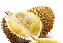 மலேசிய டூரியான் முதல் முறையாக சவூதிக்கு ஏற்றுமதி