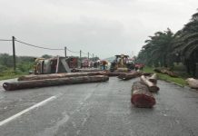 Lori sarat muatan balak terbabas, pemandu cedera