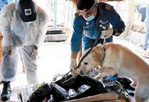 துபாய் கடல் பகுதியில் போதைப் பொருட்கள் பறிமுதல்