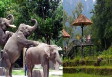 Zoo Negara mula beroperasi hari ini
