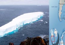 Aisberg terbesar di dunia mula terpisah di Pulau Selatan Georgia