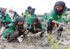 Perak Tanam Lebih 1.3 Juta Pokok