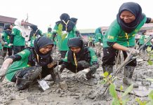 Perak Tanam Lebih 1.3 Juta Pokok