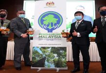 Kempen lima tahun tanam 100 juta pokok mula tahun depan