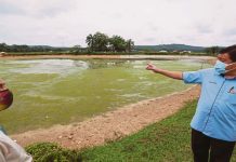 Cemar Sungai Selangor: Pengusaha kolam ikan keli ditahan