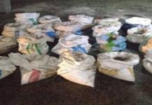 20 guni anak kerang bernilai RM20,000 dirampas
