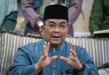 பினாங்கின் லாபத்திற்காக கெடா வனப்பகுதிகளை தியாகம் செய்ய முடியாது