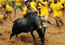 ஜல்லிக்கட்டில் பங்கேற்கும் மாடுபிடி வீரர்களுக்கு கட்டுப்பாடு: