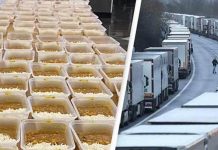 இங்கிலாந்து – பிரான்ஸ் எல்லையில் தவிக்கும் லாரி டிரைவர்களுக்கு உணவு வழங்கும் சீக்கியர்கள்