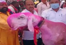 மோடியின் பெயரில் ஆடு- 70 லட்சம் ஏலம் கேட்டும் மறுப்பு