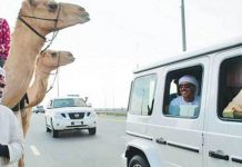 காரில் இருந்தபடியே ஒட்டகக் குழுவினருக்கு வாழ்த்து தெரிவித்த துபாய் ஆட்சியாளர்