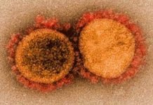 6 பேருக்கு உருமாறிய அதிதீவிர கரோனா பாதிப்பு உறுதி