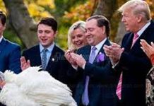 வான்கோழிக்கு இரண்டரை லட்சம் செலவாம்! – அமெரிக்காவில்